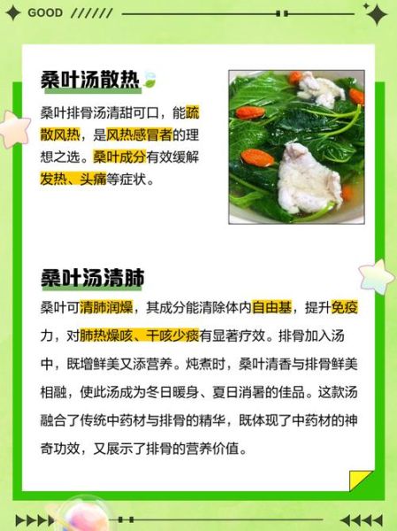 桑叶汤的做法_桑叶汤怎么煮才更养生