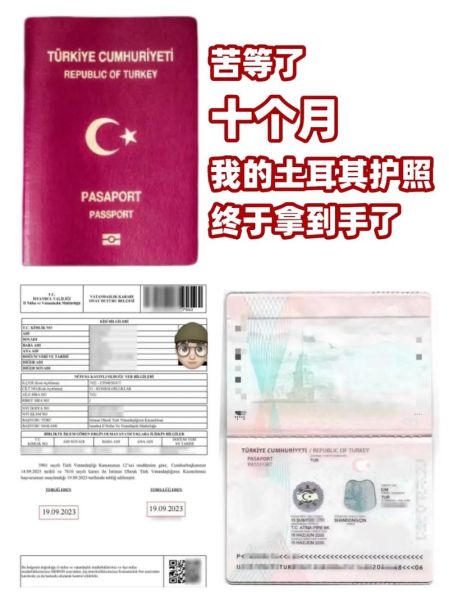 土耳其移民护照怎么申请_土耳其护照移民多少钱