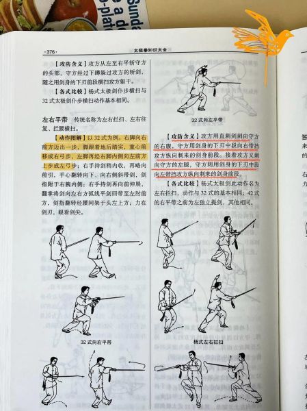 太极剑入门教学_太极剑基本动作要领