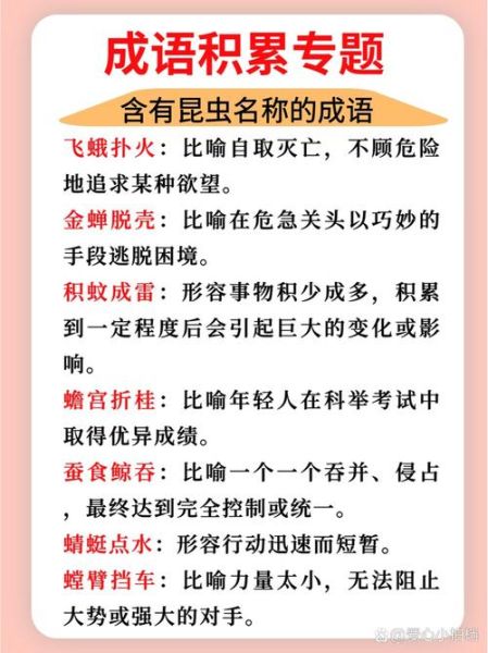 虫子是词语吗_虫子属于什么词类