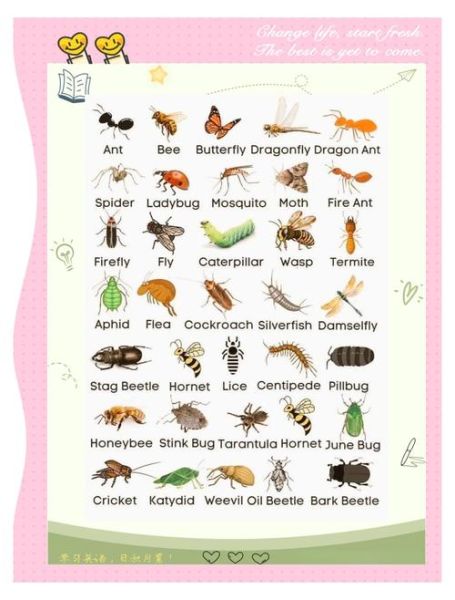 虫子是词语吗_虫子属于什么词类