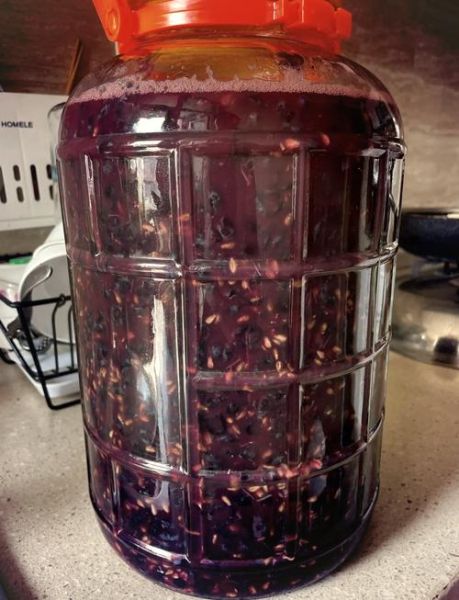 自酿葡萄酒怎么做_家庭自酿葡萄酒详细步骤