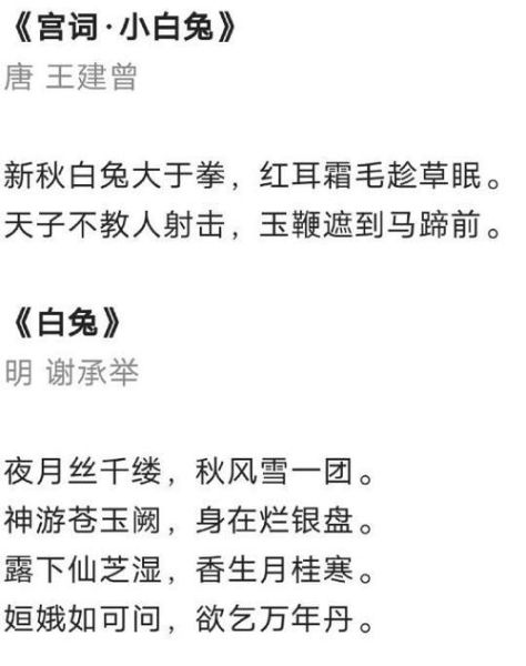 兔子怎么描写_描写兔子的词语有哪些