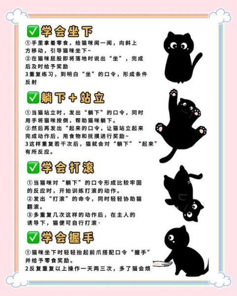 可爱胆小的猫怎么训练_胆小猫咪多久适应新家