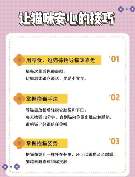 可爱胆小的猫怎么训练_胆小猫咪多久适应新家