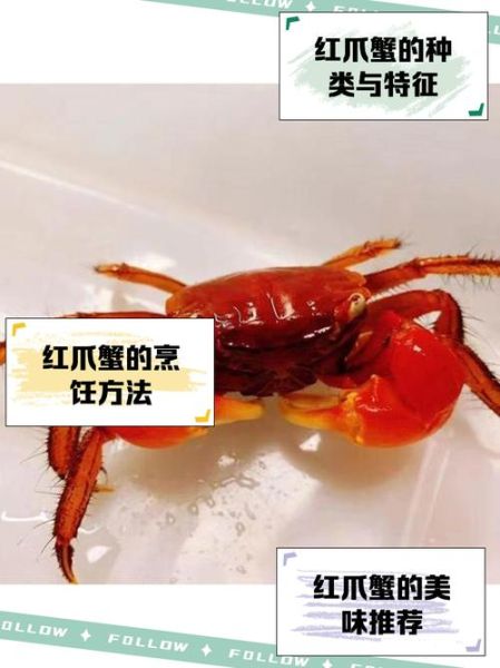 蟹壳为什么坚硬_蟹壳颜色有哪些