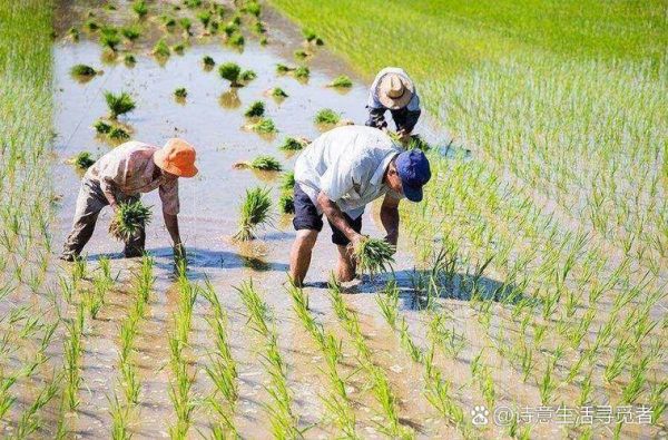 春耕什么时候最合适_秋收后土地如何管理