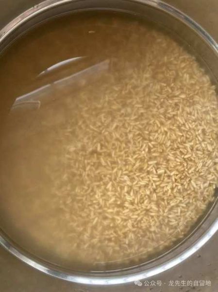 甜胚子怎么做_甜胚子做法步骤详解