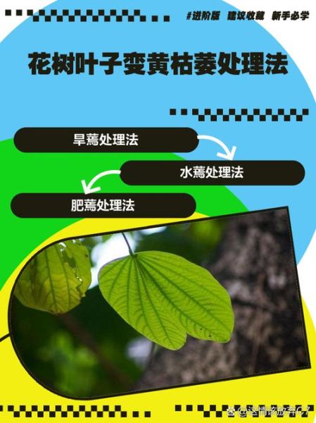 树木枝叶修剪方法_树木枝叶发黄怎么办