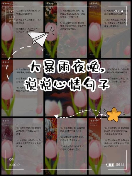 夜晚的雨声词语有哪些_怎么描写才动人