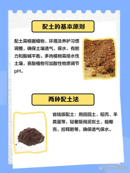 泥土怎么养花_泥土养花常见问题