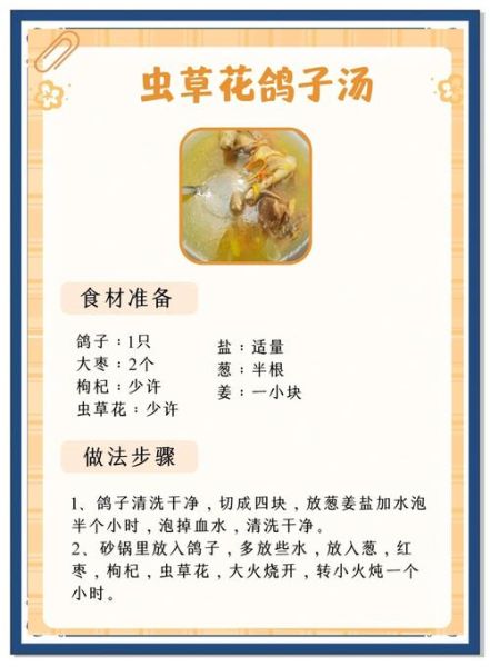 炖鸽子汤的做法_鸽子汤怎么炖最营养