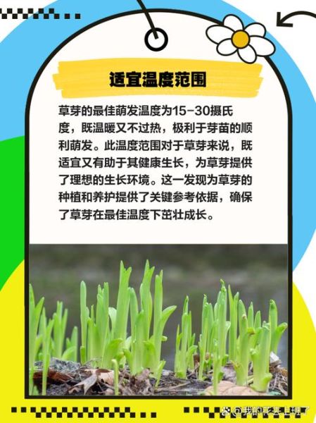 小草生长过程_小草生长需要什么条件