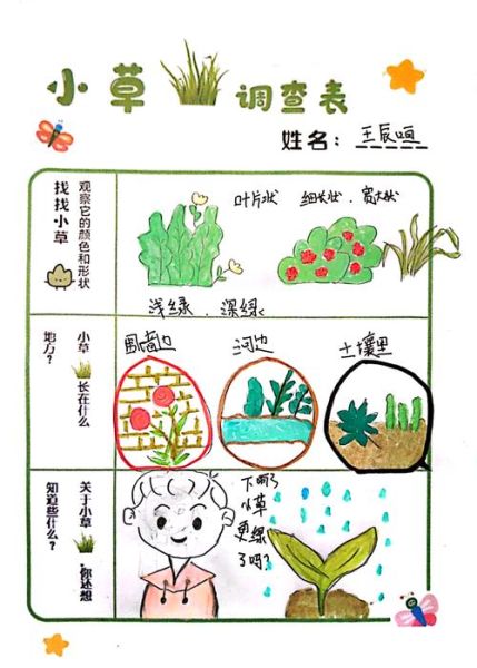 小草生长过程_小草生长需要什么条件