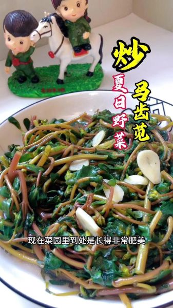 凉拌马齿苋怎么做_马齿苋凉拌前要焯水吗