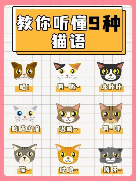 猫猫是词语吗_猫猫算不算正式词汇