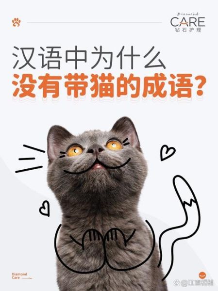 猫猫是词语吗_猫猫算不算正式词汇