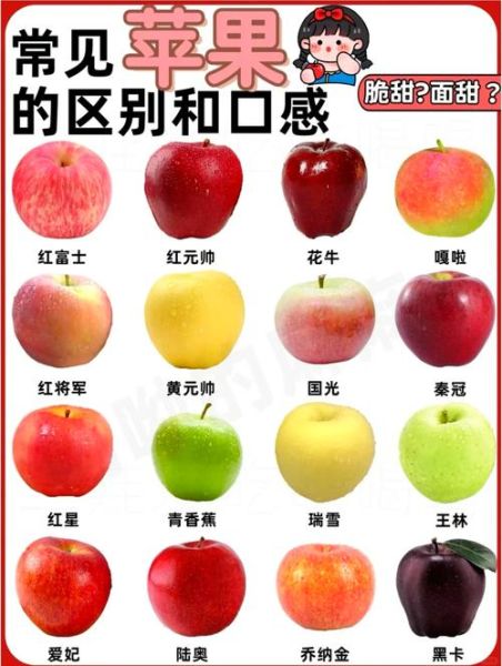 苹果什么味道_苹果口感怎么形容