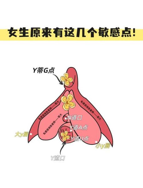 为什么女生会脸红_如何缓解害羞紧张