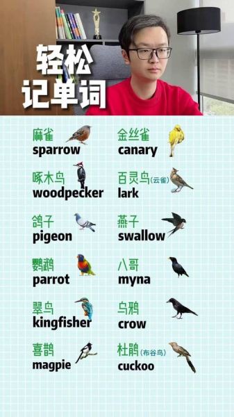 鸟类词语有哪些_常见鸟类词语大全