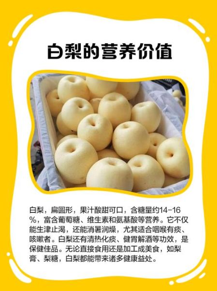 白梨的功效与作用_白梨怎么吃最润肺