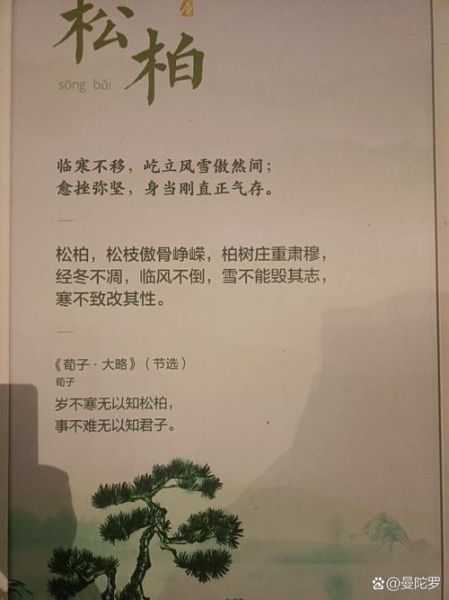 松柏挺立的象征意义是什么_松柏挺立的词语有哪些