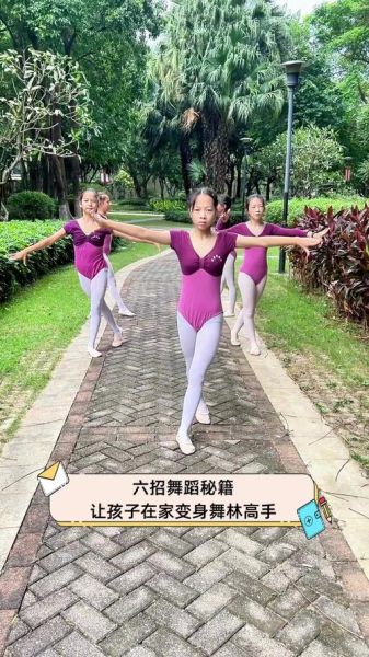 舞林是什么_如何快速入门舞林