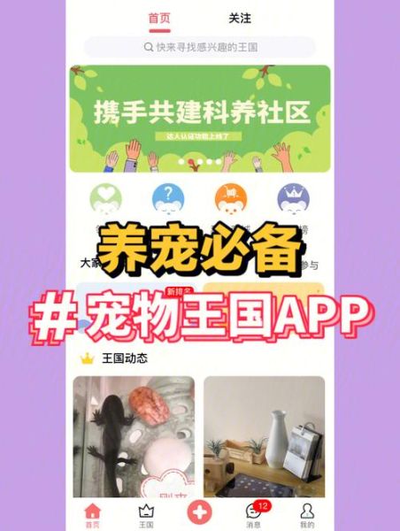 手机上养宠物的软件哪个好用_怎么在手机上养虚拟宠物