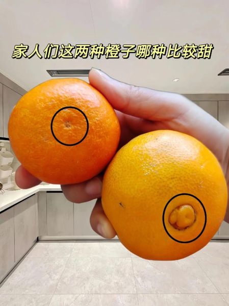 橙子怎么挑甜的_橙子有哪些品种