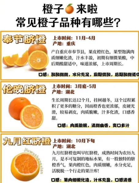 橙子怎么挑甜的_橙子有哪些品种