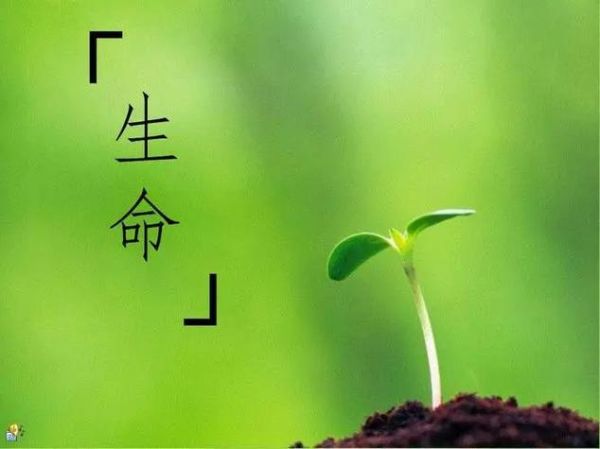 绿色生命是什么意思_绿色生命的象征意义