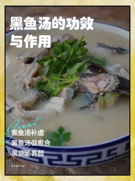 乌鱼汤怎么煲不腥_乌鱼汤的做法步骤