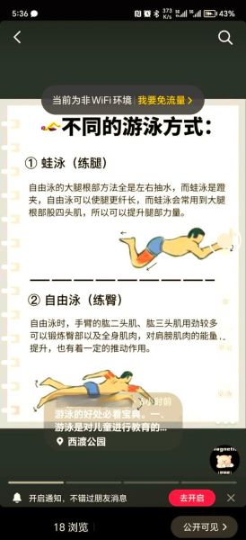 游泳锻炼多久能减肥_初学者如何安排训练