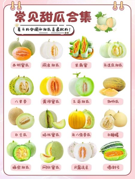 夏天怎么避暑_夏天吃什么水果好