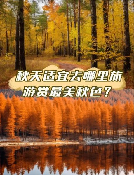 秋天气爽适合去哪里旅游_秋天天气凉爽的好处