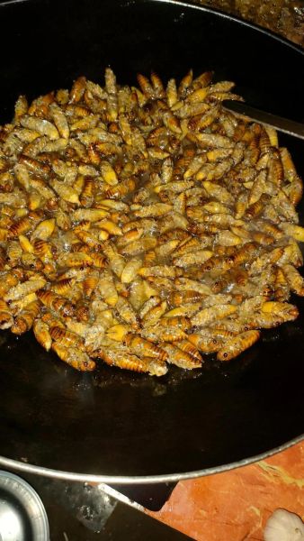 炸知了猴的做法_怎么炸才酥脆