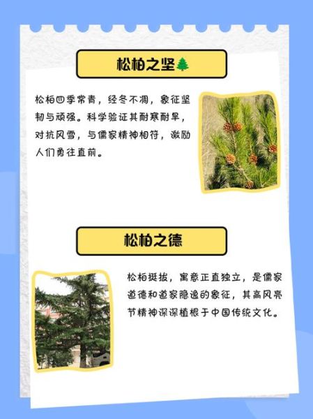 松柏象征什么_松柏寓意有哪些