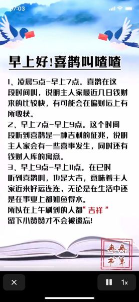 喜鹊什么预兆_喜鹊叫吉凶时间表