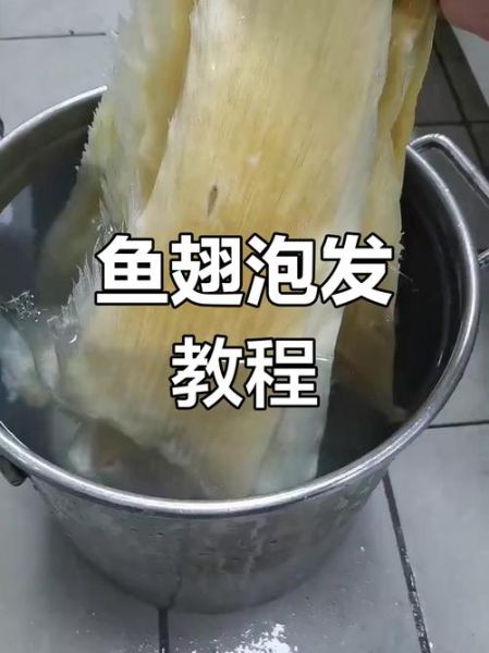 鱼翅怎么泡发_鱼翅的家常做法步骤