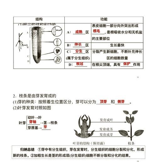 种子发芽需要哪些条件_如何让种子快速发芽