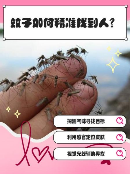 手机探测蚊子真的有用吗_如何用手机准确找到蚊子