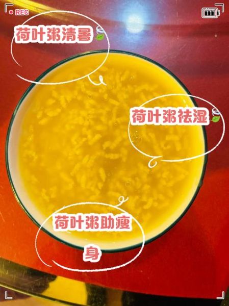 荷叶粥怎么做_荷叶粥的功效与作用