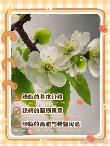 绿色象征什么意义_绿色有哪些文化内涵