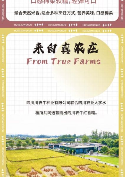 让糯米夸奖词语有哪些_怎么夸得既走心又不俗