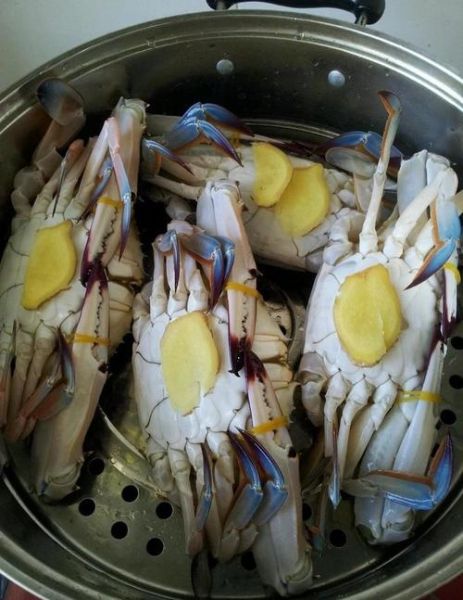 梭子蟹怎么清蒸_梭子蟹蒸多久才熟