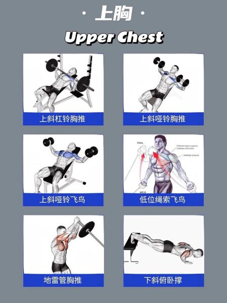 如何练出强壮胸肌_胸肌多久能练出来