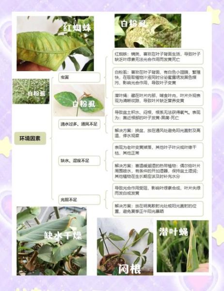 秋季小草为什么会变黄_秋季小草变黄的原因