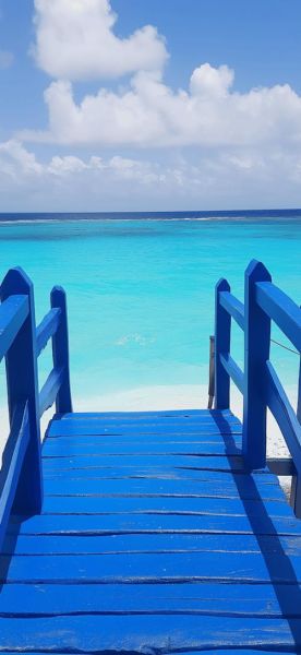 蓝色手机壁纸哪里找_蓝色壁纸伤眼吗