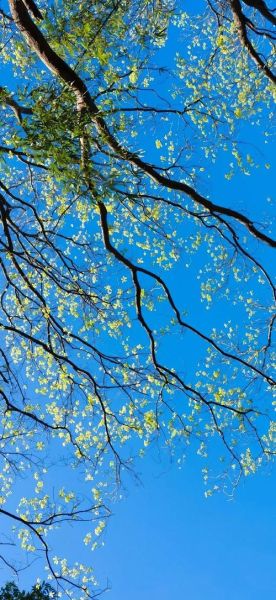 蓝色手机壁纸哪里找_蓝色壁纸伤眼吗