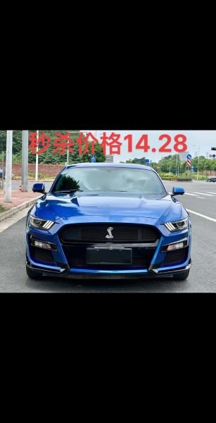 野马多少钱一匹_野马适合新手骑吗